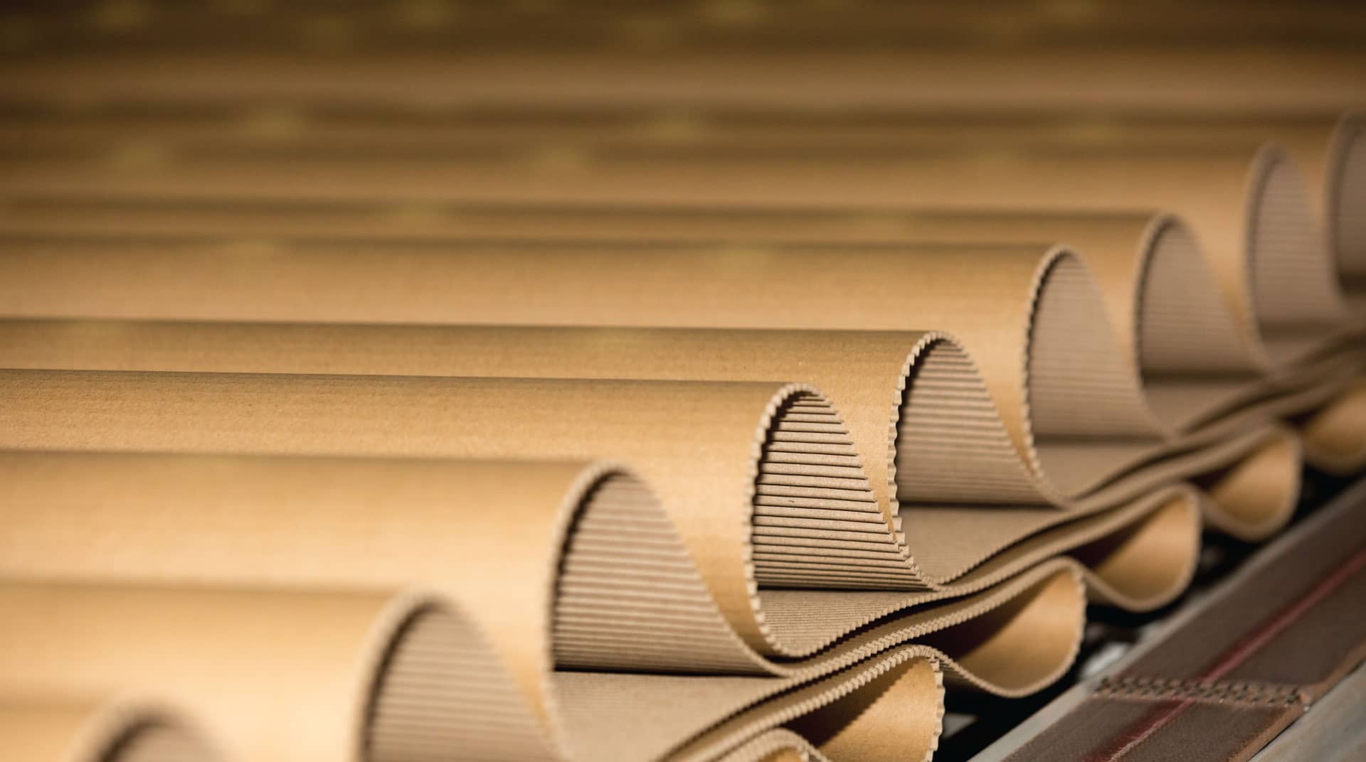 شركة فلسطين للاستثمار الصناعي 1