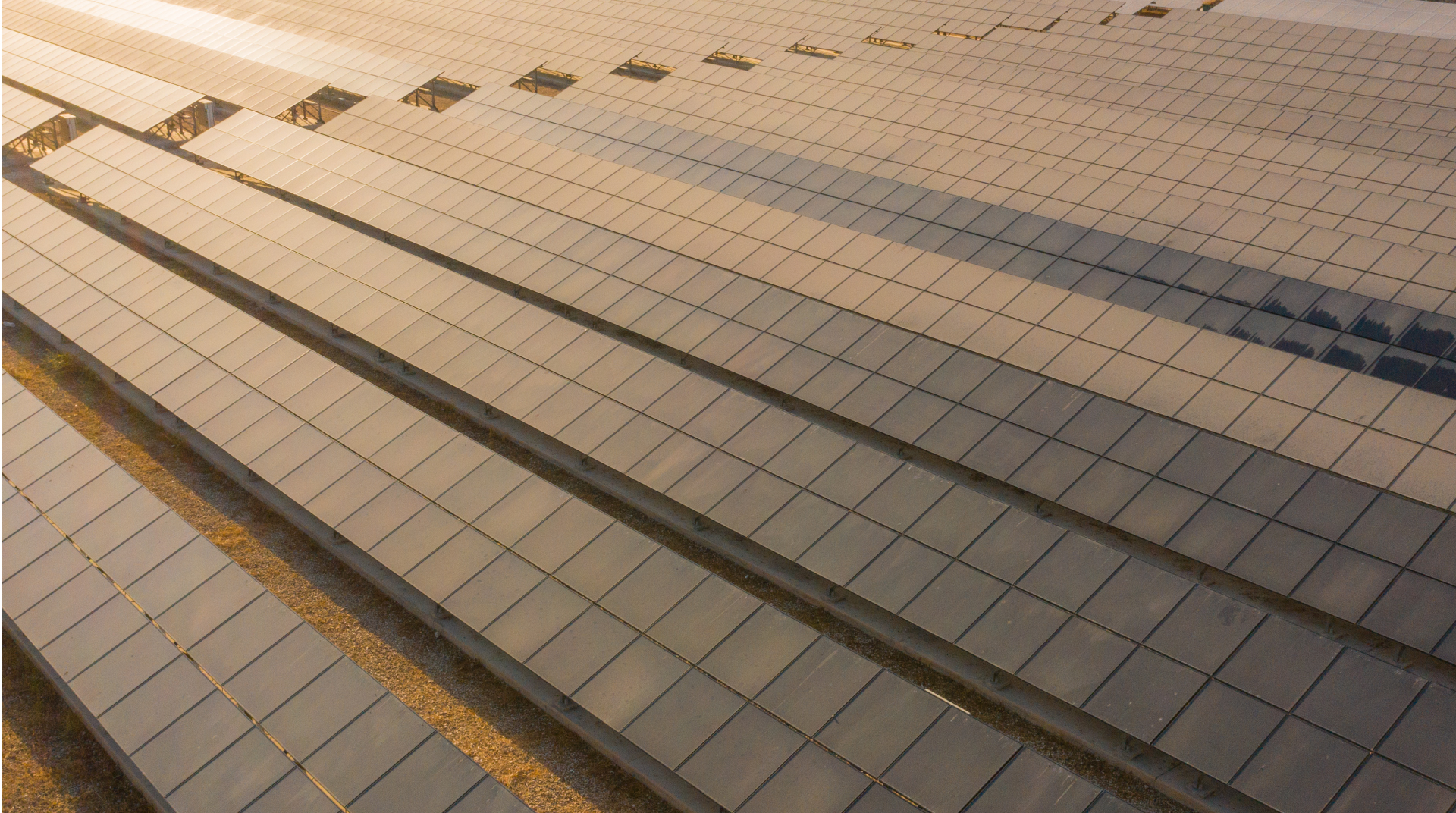 مدينة أريحا الزراعية الصناعية 1