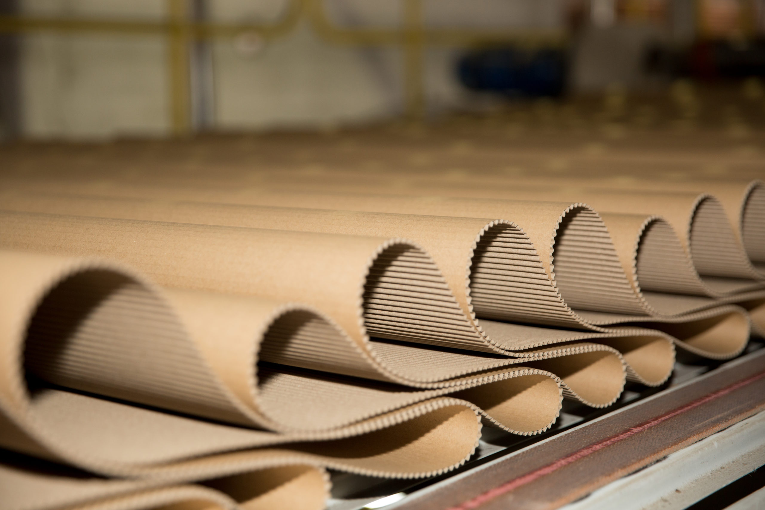 الشركة الوطنية لصناعة الكرتون 2