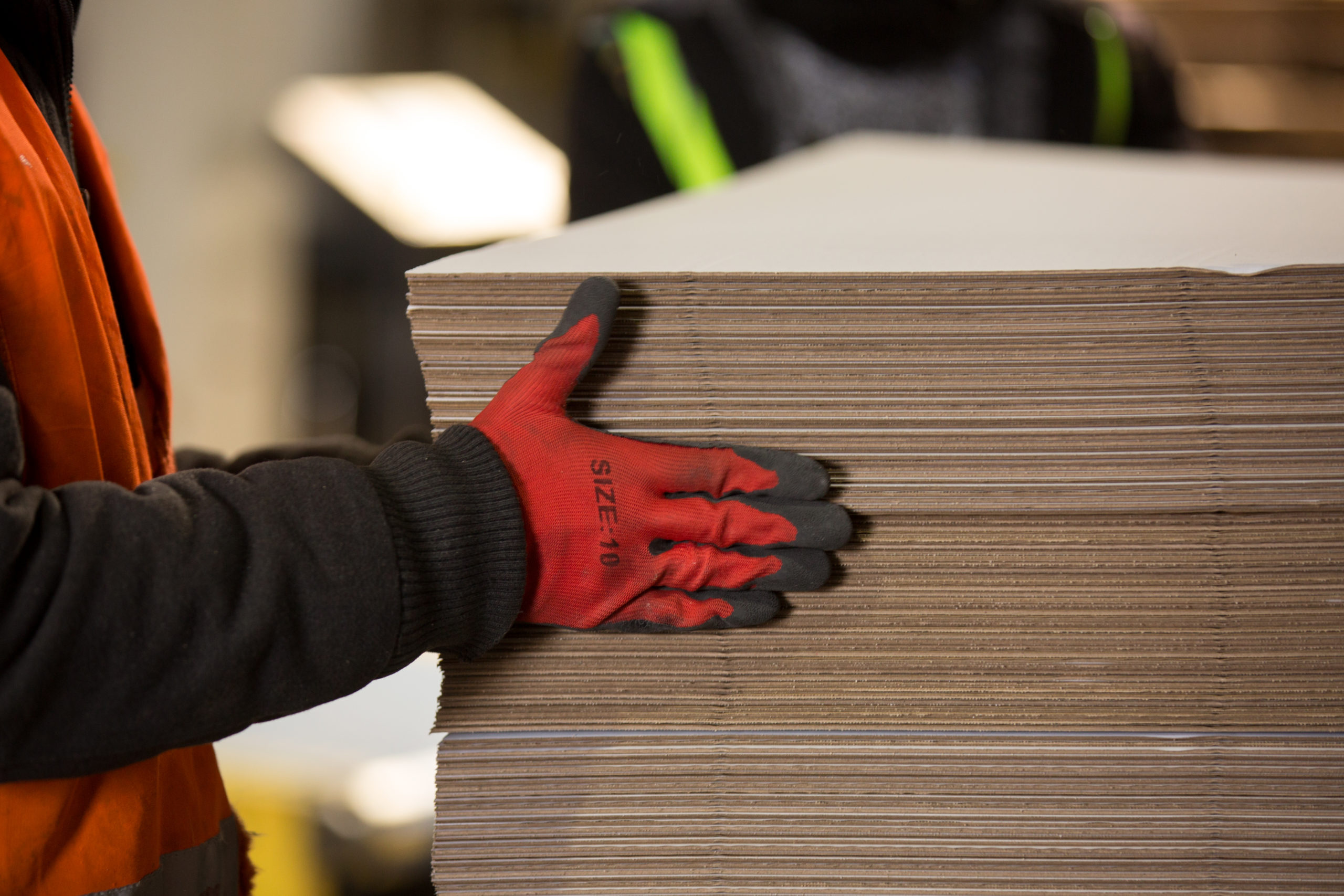 الشركة الوطنية لصناعة الكرتون 4