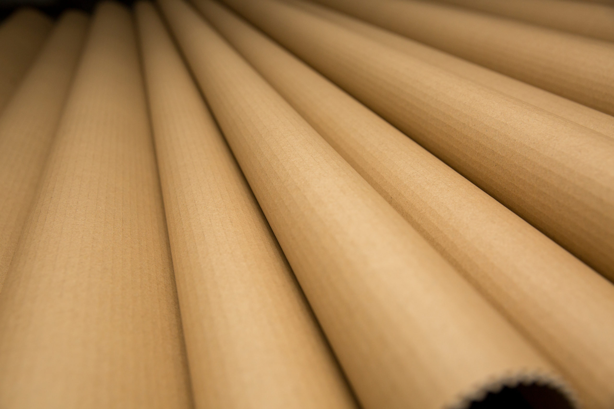 الشركة الوطنية لصناعة الكرتون 1