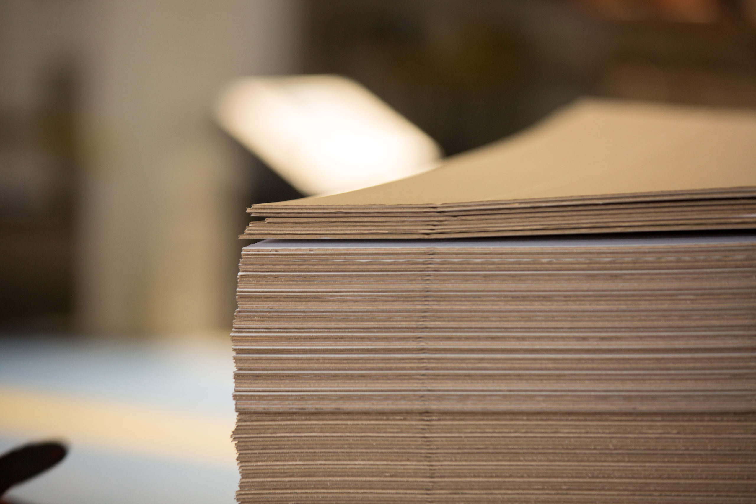 الشركة الوطنية لصناعة الكرتون 3